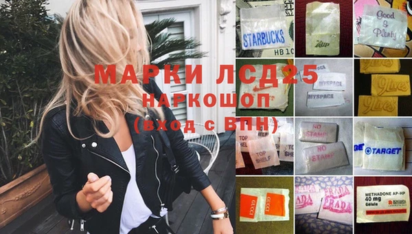 мяу мяу мука Кодинск