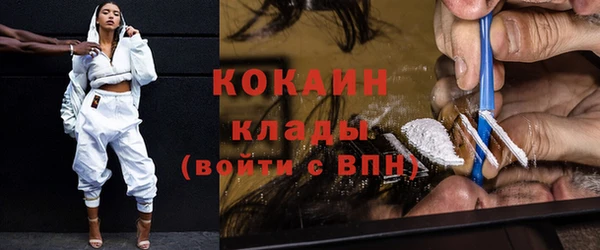 шишки Козловка