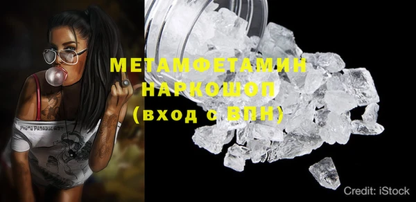 прущие грибы Новодвинск