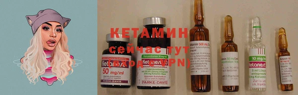 шишки Козловка