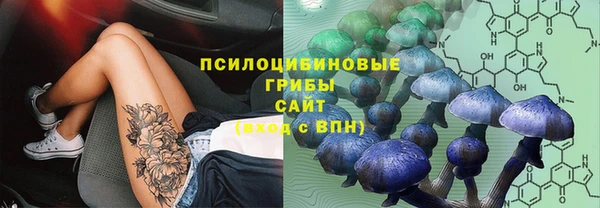 mdma Коряжма
